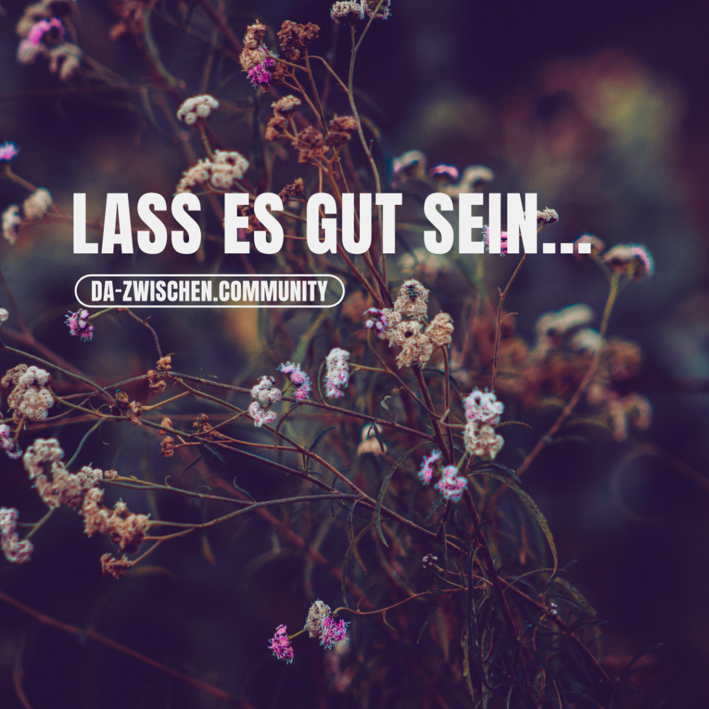 2024 10 21 gut sein 1024x1024 - Lass es gut sein...