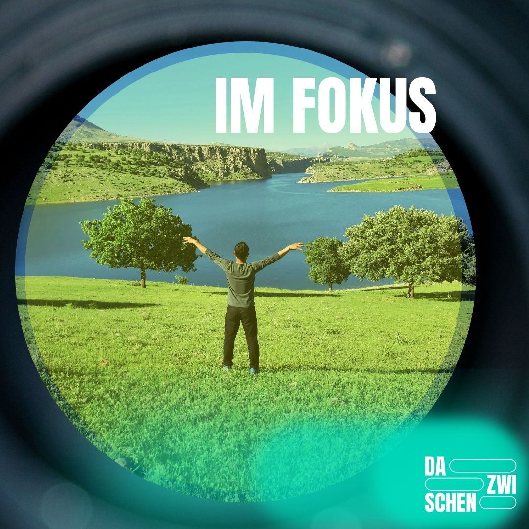 Im Fokus