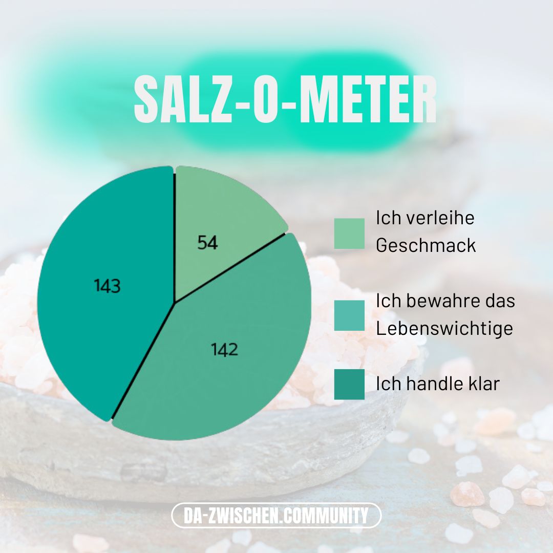 Salz der Erde1 - Salz-o-meter